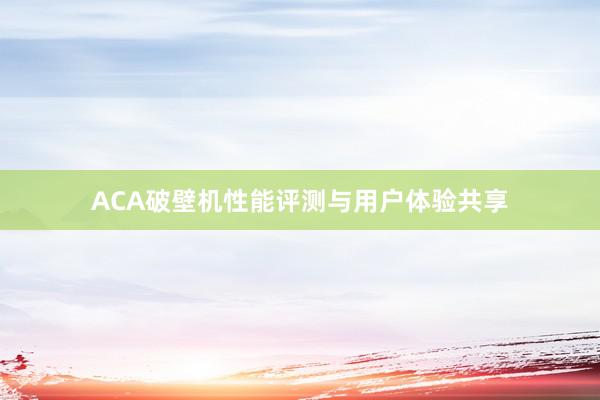 ACA破壁机性能评测与用户体验共享