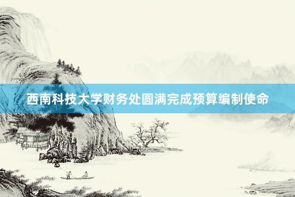 西南科技大学财务处圆满完成预算编制使命