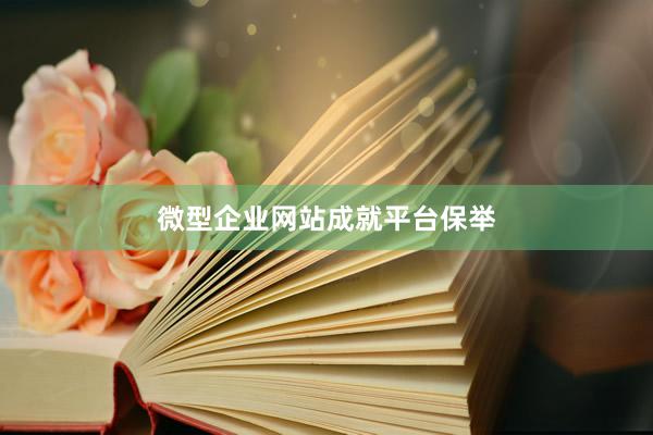 微型企业网站成就平台保举