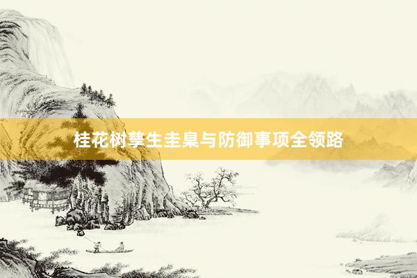 桂花树孳生圭臬与防御事项全领路